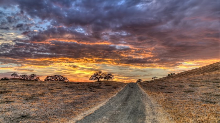 Dirt road through hills at sunset with scattered trees