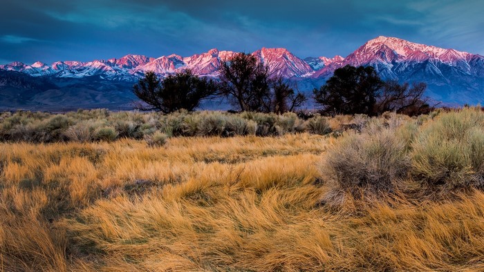 Sunrise over snowy mountains and dry grass field
