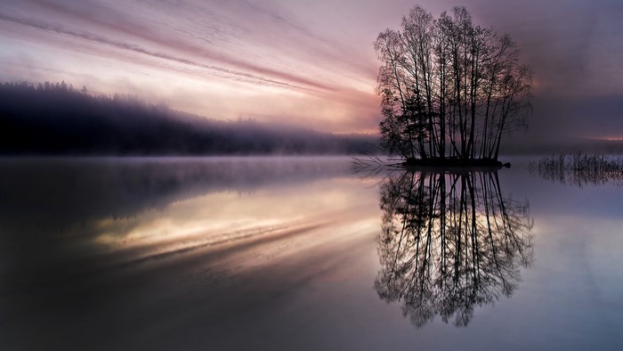 Sunrise over misty lake with island of trees in Sweden