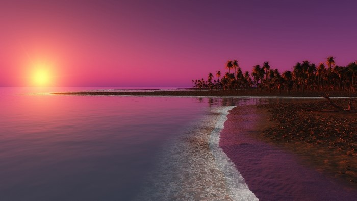 Sunset over a tropical beach with palm trees