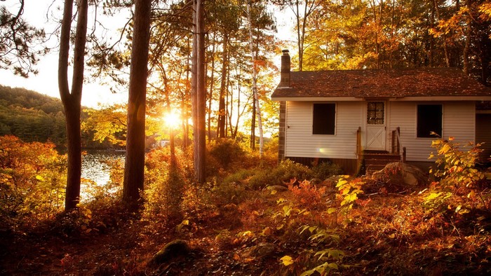 White cabin in autumn forest with sunlit trees and lake