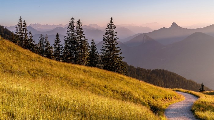 Mountain landscape with a winding path and trees