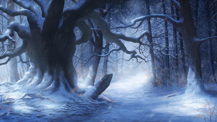 Snowy forest with a large ancient tree and a path
