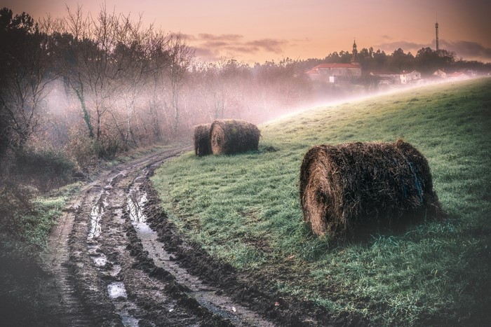 Muddy dirt road with hay bales in misty morning field