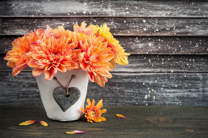 Orange flowers in a pot with a heart decoration