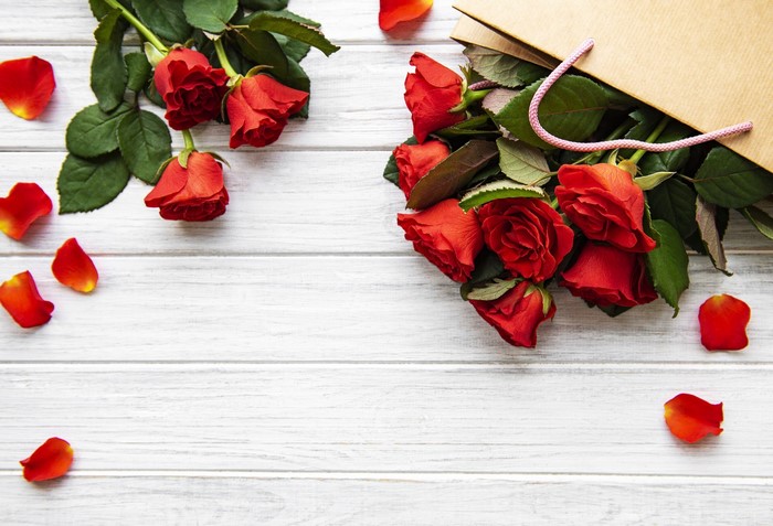 Red roses and petals on a white wooden surface