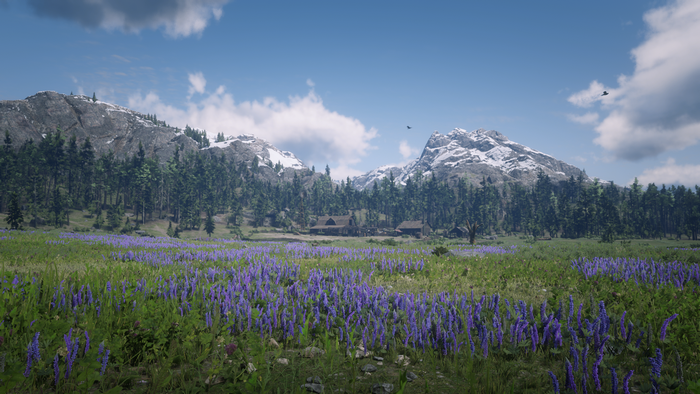 Red Dead Redemption 2 landscape with mountains and flowers
