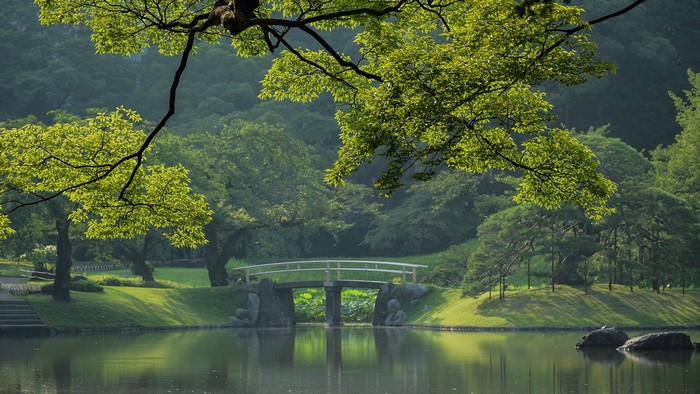 Japanese garden with a bridge over a lake