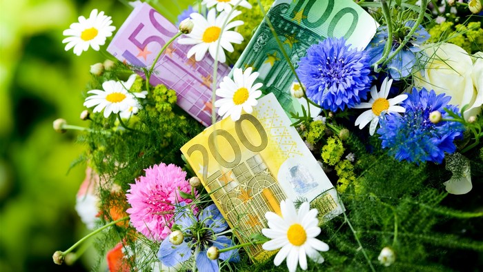 Euro banknotes and flowers bouquet