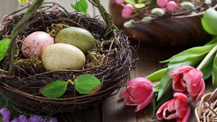 Easter nest with speckled eggs and tulips