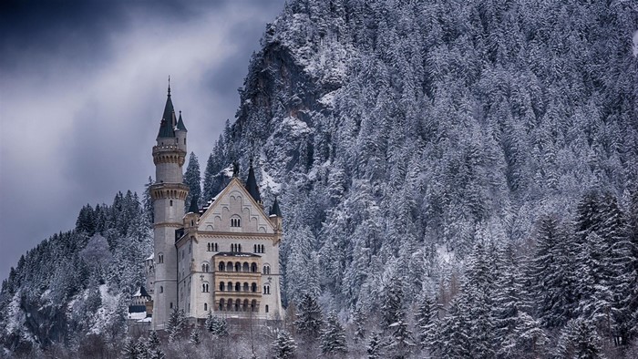 Neuschwanstein Castle in winter forest, Germany