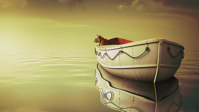 Tiger in a boat on the ocean