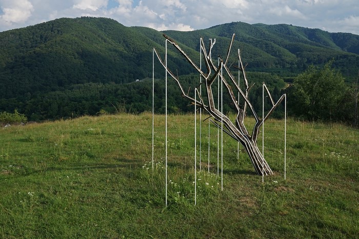 Art installation of a tree with ropes in Transylvania, Romania