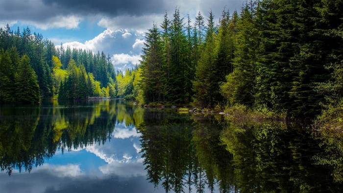 Lake and forest with reflections under cloudy sky