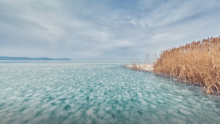 Frozen Lake Balaton with Reeds and Mountains