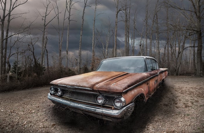 Rusty vintage car in a forest