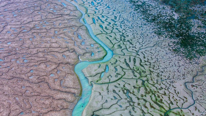 Aerial view of tidal flats and river in Bay of Cádiz, Spain