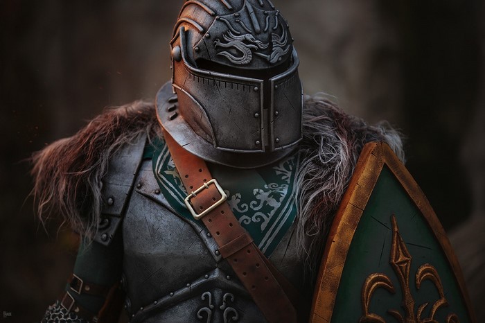 Knight in armor with dragon helmet and shield from Dark Souls
