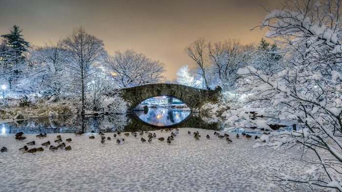 Gapstow Bridge in Central Park, New York City during winter