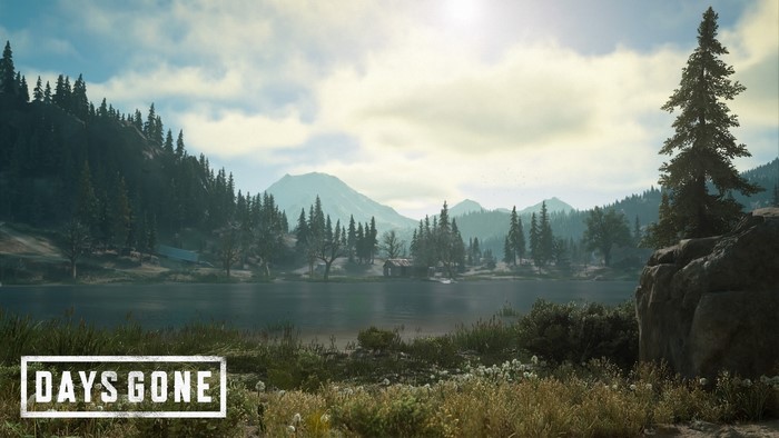 Days Gone video game landscape