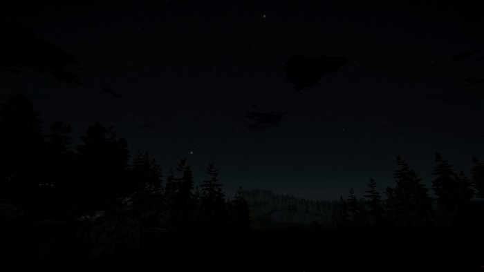 Night sky over a forest in Days Gone