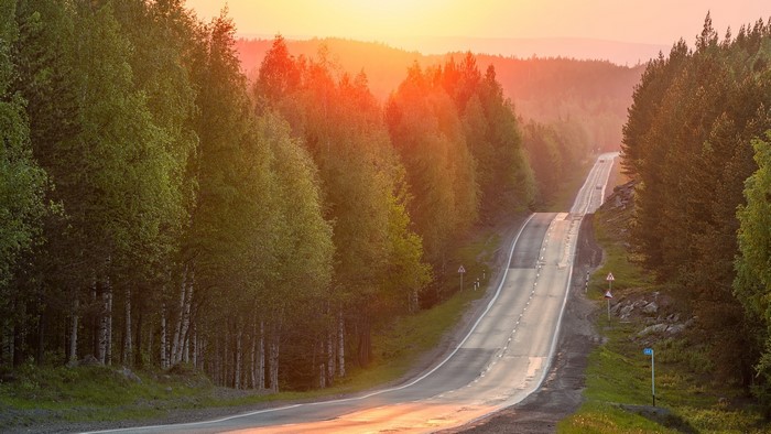 Road through a forest at sunset in Russia