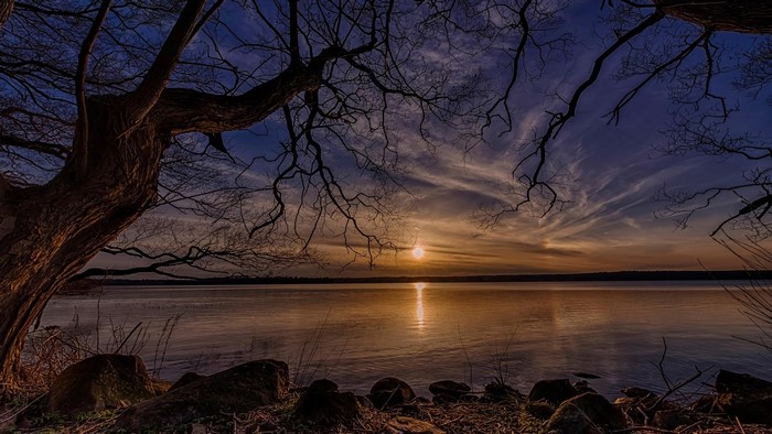 Sunset over a calm lake with silhouetted trees