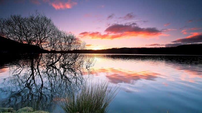Sunset over a calm lake with tree reflections