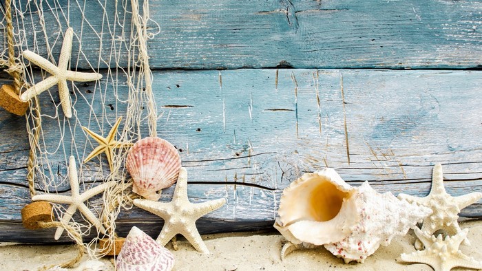 Seashells and starfish on a weathered blue wooden background