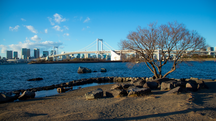 Rainbow Bridge and Tokyo skyline from Odaiba beach