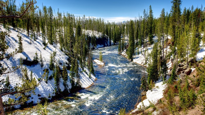 River flowing through a snowy forest in Yellowstone National Park