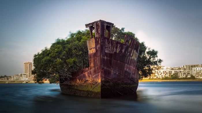 Shipwreck overgrown with trees in Homebush Bay, Australia