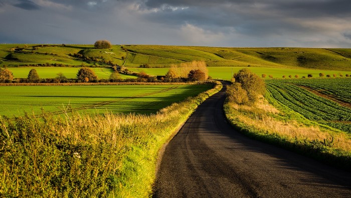 Winding road through rolling green hills in Wiltshire, England