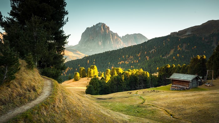 Mountain landscape with forest and cabin