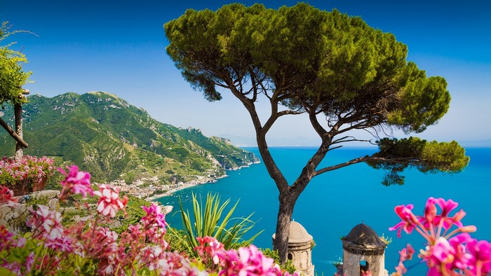 Coastal landscape with pine tree and flowers in Italy