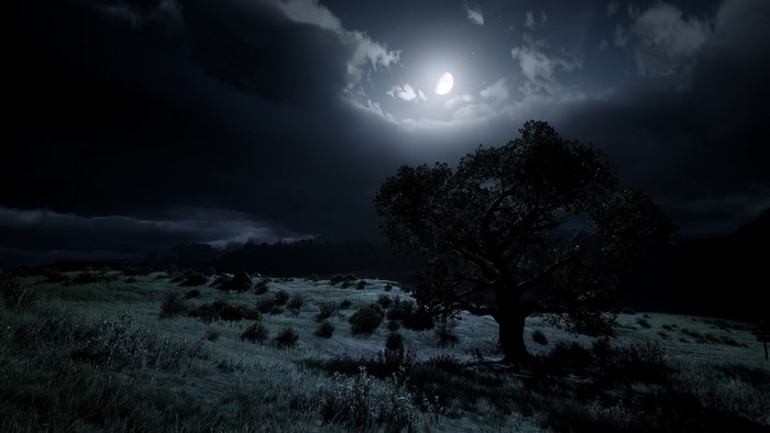Red Dead Redemption 2 screenshot at night