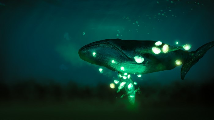 Whale with glowing jellyfish in dark ocean
