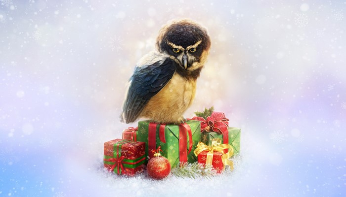 Artwork of an owl by Elena Roslyakova