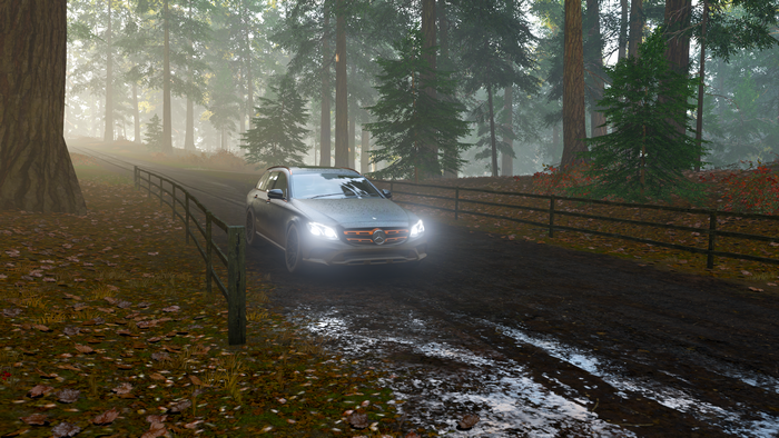 Mercedes-Benz E-Class Estate in Forza Horizon 4