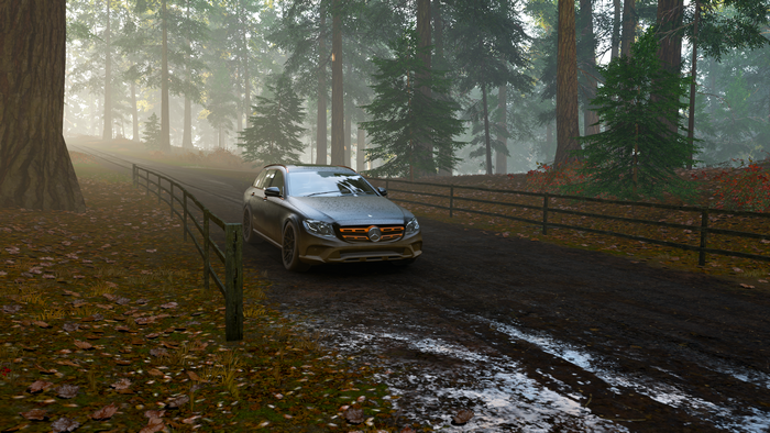 Mercedes-Benz E-Class 350 D in Forza Horizon 4
