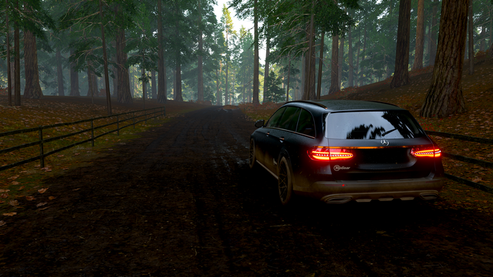 Mercedes-Benz E-Class 350 D in Forza Horizon 4