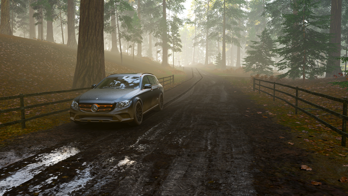 Mercedes-Benz E-Class 350 D in Forza Horizon 4