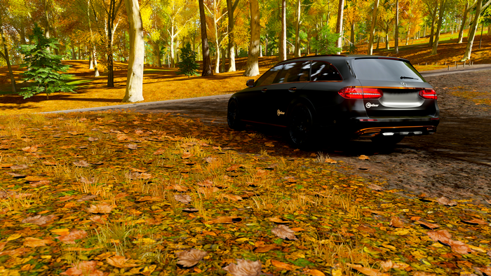 4K Mercedes-Benz E-Class 350 D in Forza Horizon 4