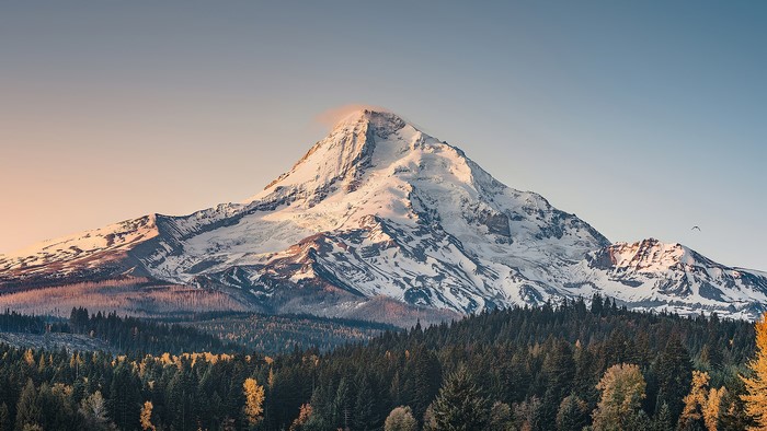 Snow-capped mountain range above a dense forest