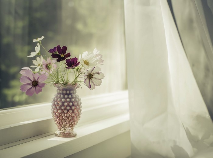 Flowers in a vase on a windowsill