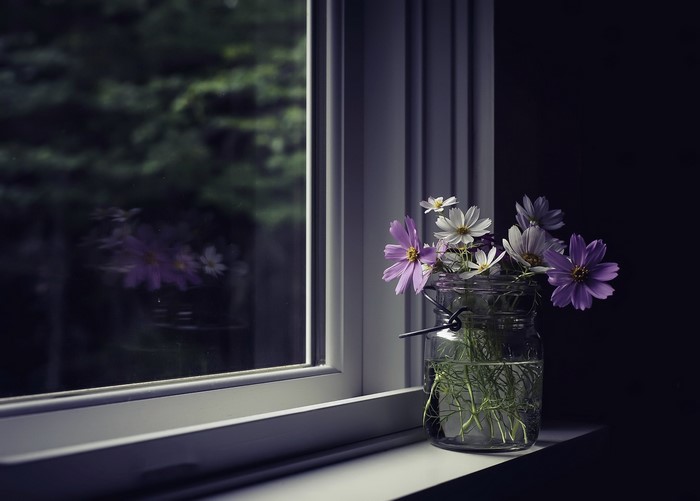 Flowers in a jar on a windowsill