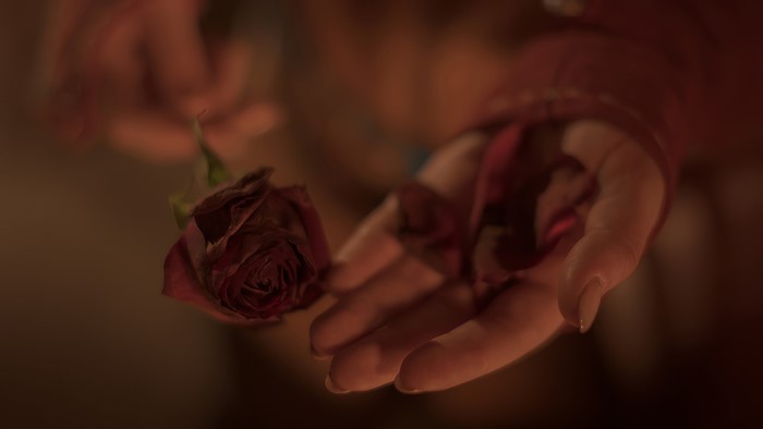 Triss Merigold from The Witcher holding a wilted rose
