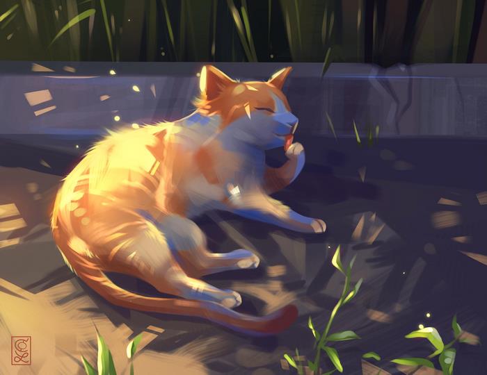 Orange and white cat grooming itself in the sun