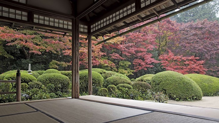 Japanese garden with autumn foliage viewed from a traditional room