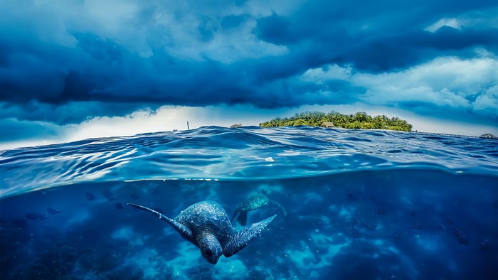 Underwater island with turtles and stormy clouds